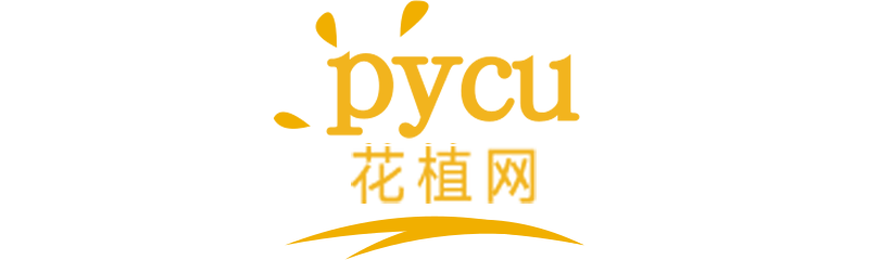 PYC_花卉知识_花语大全 -pycu.cn