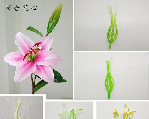 如何清洗百合花花蕊黄（教你几招让百合花花蕊黄无瑕疵）