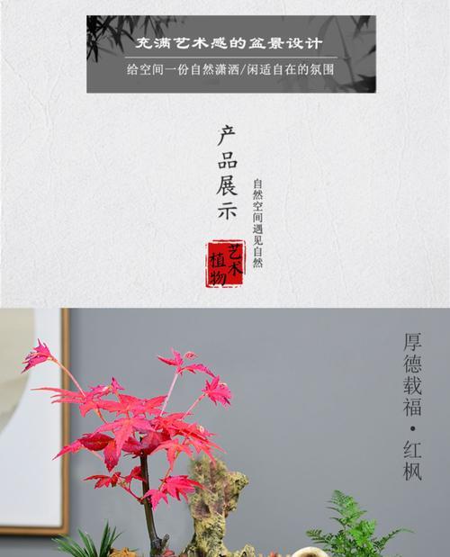 红枫盆景的种植方法和技术（打造室内外美景，红枫盆景的7大养护秘诀）