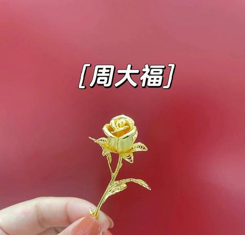 金玫瑰花语的含义与象征（探寻金玫瑰花语背后的丰富内涵）