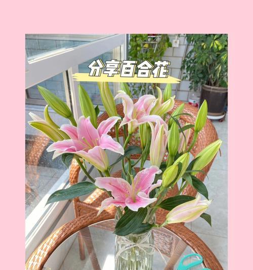 如何让百合花醒花？（学会这些方法，让你的百合花美丽开放！）