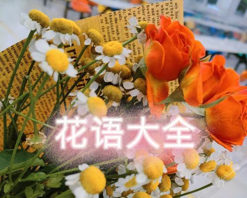 《春天花的花语》（春天花朵的美丽与寓意）