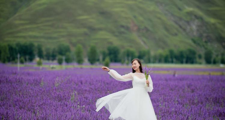 薰衣草的花语与传说（薰衣草花语的意义及其传说故事）