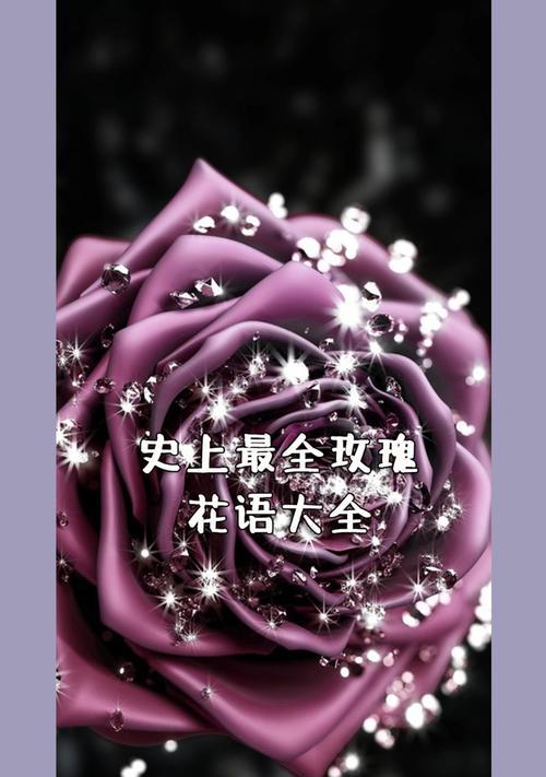 花语之玫瑰，16朵代表的意思（玫瑰花语）