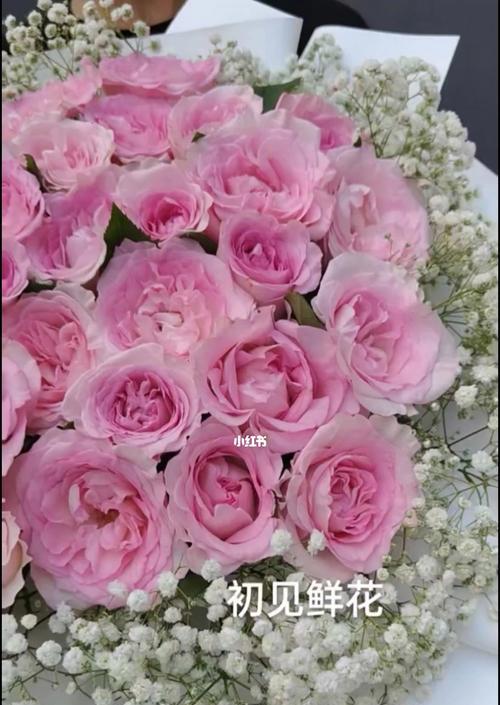 33朵玫瑰所代表的意义（传递爱与祝福的花束）