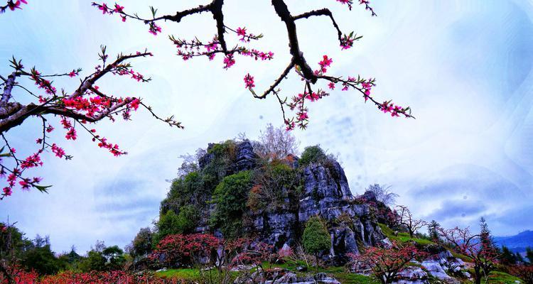 令人陶醉的桃花世界（探秘桃花花朵之美）