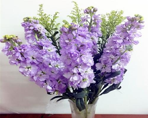 延长鲜花生命——让鲜花水养更久（如何正确浇水，让鲜花娇艳持久？）