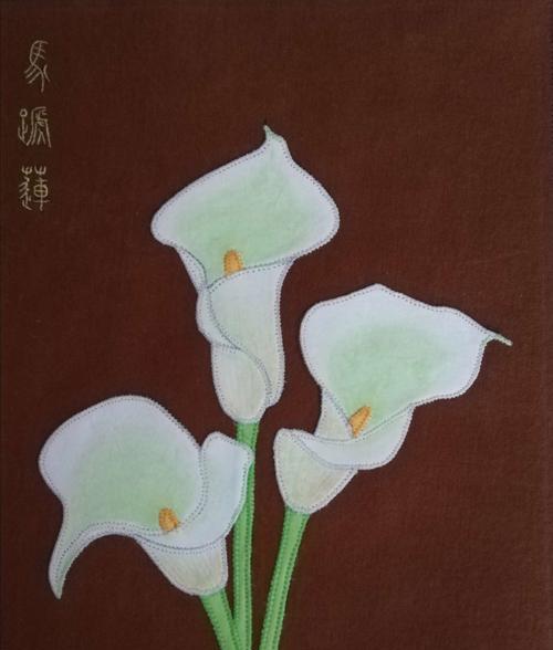 白色马蹄莲的花语（美丽的花朵散发着深刻的含义）