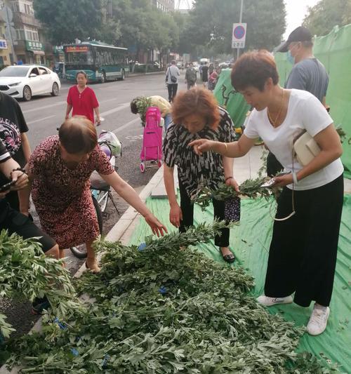 端午节的寓意——挂艾草的深意（端午佳节，寄托着人们对健康与平安的美好祝愿）