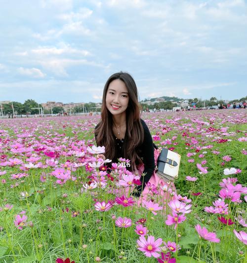 格桑花的种植与养护（从种子到盛放，全面解读格桑花的种植方法和时间）