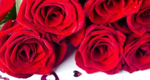 玫瑰花的寓意与象征意义（从爱情到友谊）