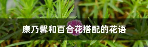 别离的花语（探寻离别之意）