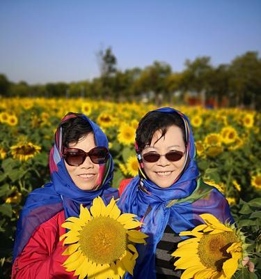 自由的花园（以植物为象征的自由思想与独立精神）