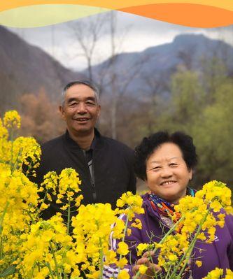 植物中象征父母之爱的种类及意义（探索自然中父母之爱的象征）