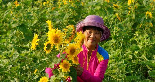 花与植物的坚强勇敢独立之道（以生命之花谱写生命之歌）