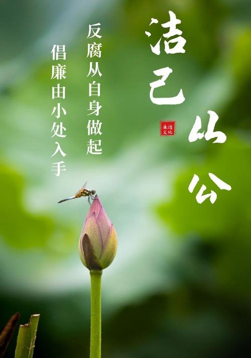 清廉之花——探索象征清廉的植物世界（揭示品德高尚的花草）