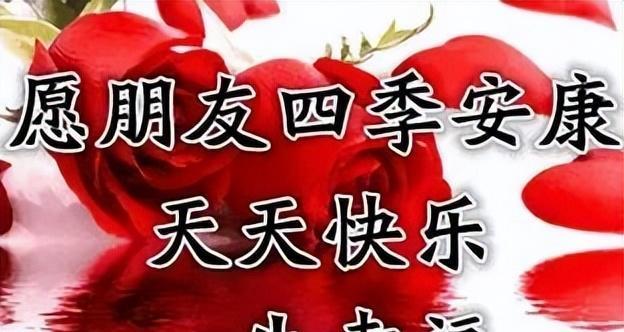 花开友谊长存——以表示友谊长存的花花语为主题的文章（用花语传递永恒的友谊情谊）