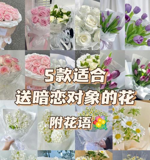 以蓝桉之花语，传递真挚情意（给予爱与祝福）