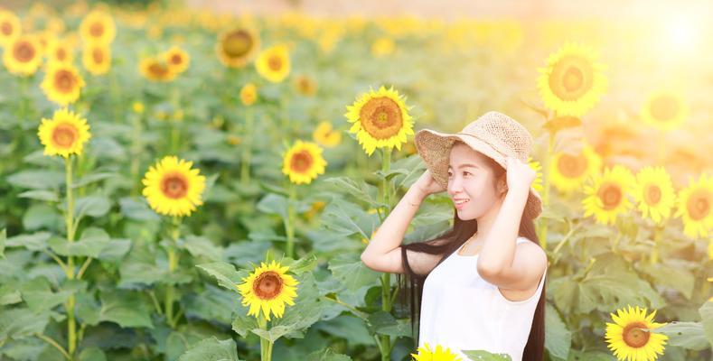 向阳而生——以向日葵的花语为主题的文章（唤醒内心的阳光力量）