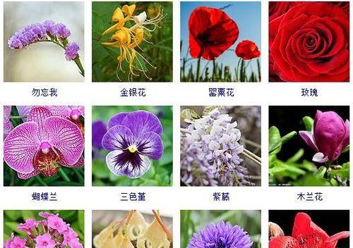 4月开的花有哪些（四月代表性的花介绍）