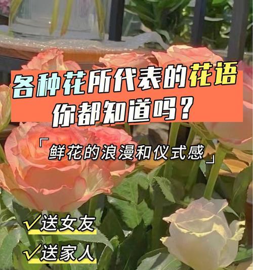 花语传情（花语表达爱意的艺术之道）