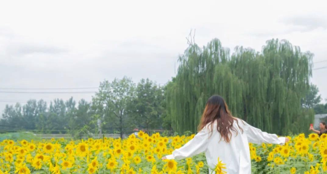 地钱是什么植物（地钱的简单种植技巧）