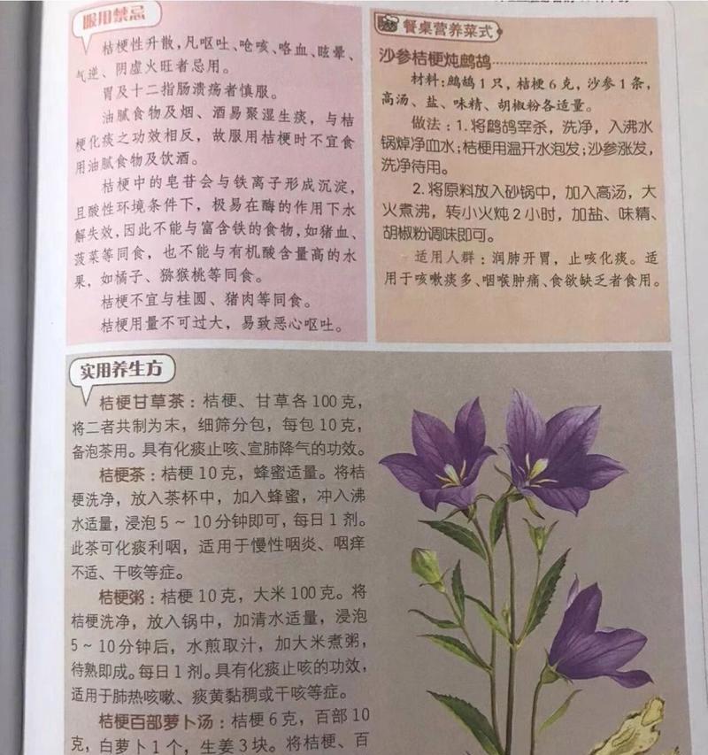 白术种植技巧与时间安排