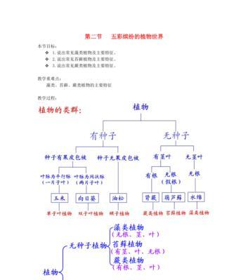 白掌叶片发黄，该如何处理（常见原因及有效方法解决）