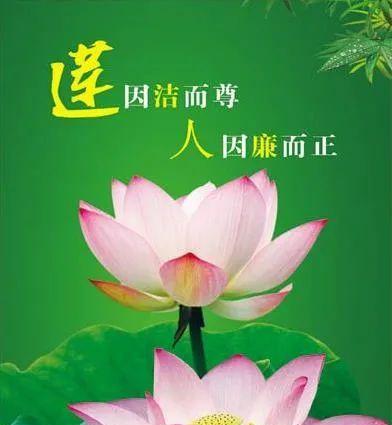 以象征廉洁的植物为主题的文章（品格花园）