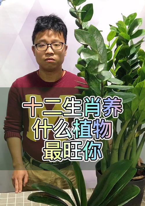 植物与生肖的奇妙联系（揭示植物与生肖的深层含义）