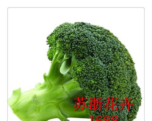 西兰花的花语与寓意（揭示西兰花的美丽象征及内涵）