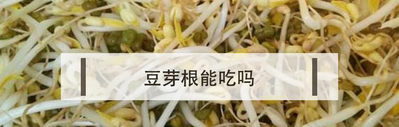 绿豆芽（绿豆芽的好处）