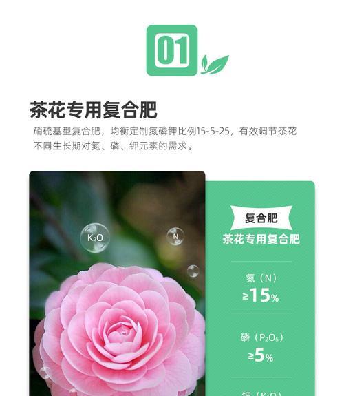 杜鹃花底肥放什么肥好（选择合适的底肥施用方法）