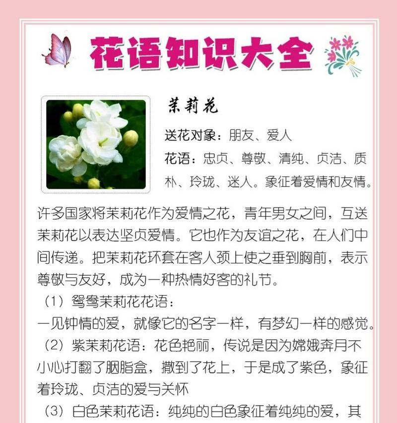 铃兰花语（铃兰花语的传承与意义）