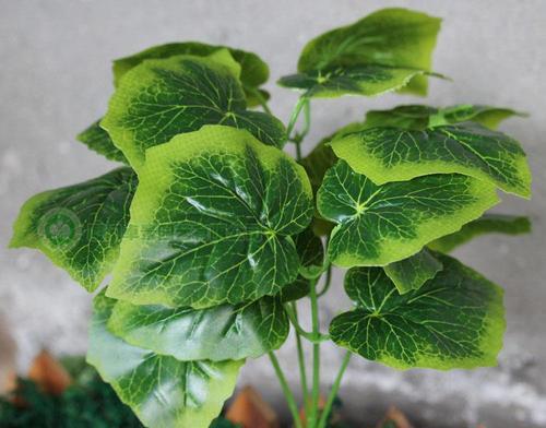 青苹果花的寓意与象征（探秘青苹果花的寓意）