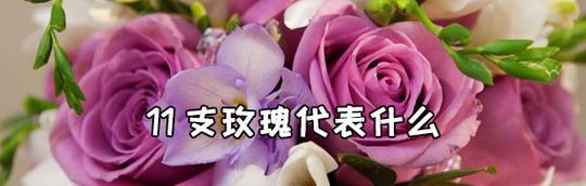 四朵玫瑰花的花语解读——爱情、友谊、忠诚与美丽（四朵玫瑰花的不同颜色和数量所代表的深层含义）