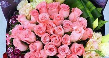 粉色玫瑰花的花语与寓意（探寻粉色玫瑰花的内涵与象征）