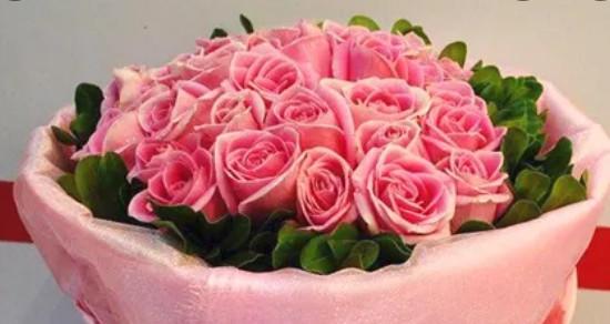 粉色玫瑰花的寓意与花语（探索粉色玫瑰花的浪漫与温柔）