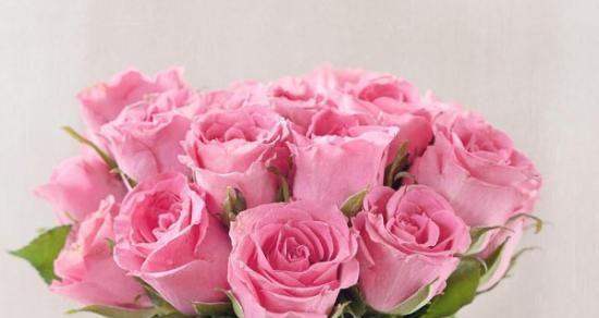 粉色玫瑰花的浪漫情怀（绽放爱的芬芳）