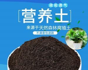 绿宝配土方法——打造健康绿色植物的必备技能（选择合适的种植土壤）