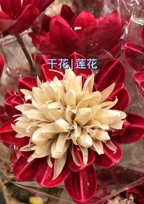 永生花的花语及寓意（美丽而持久的永生花）