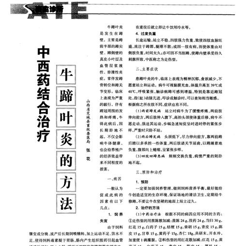 三七黄叶病的原因与治疗（探究三七黄叶病的致病原因以及治疗方法）