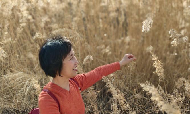 芦苇的花语——坚韧与自由的象征（探寻芦苇的花语）