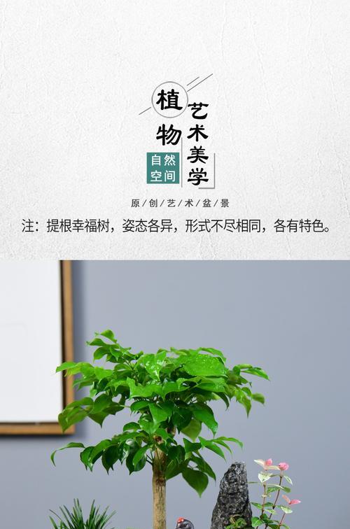 以寓意好的盆景树为主题的文章（探索盆景树的寓意和魅力）