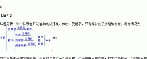 山药病虫害防治技术与方法措施（高效）