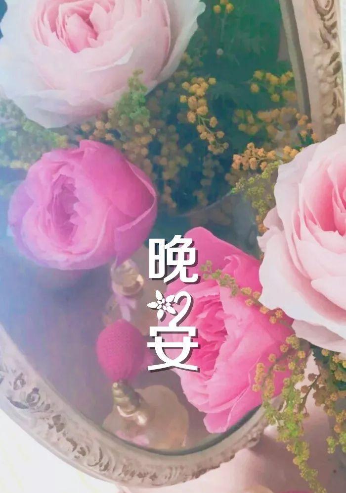 祝福晚安的花语——夜来香（香气弥漫）