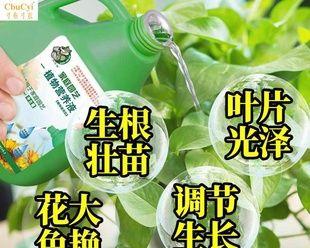 花草肥料选用指南（打造繁花似锦的花园）