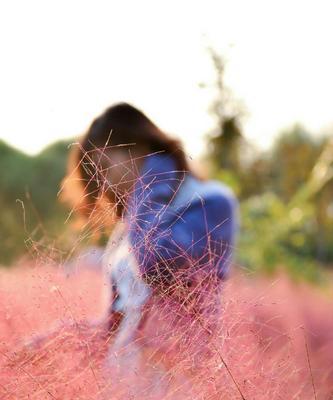 粉黛乱子草的花语寓意（解读粉黛乱子草花语）