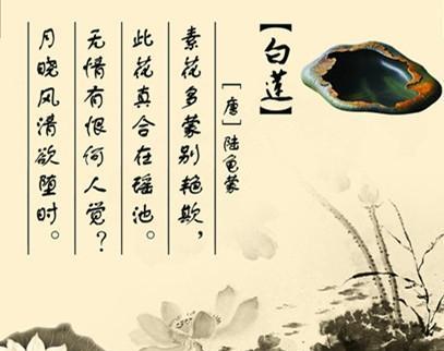 丁香花（祝福与浪漫）