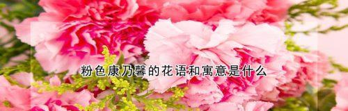 康乃馨花语的深刻意义（探索康乃馨的花语之美）